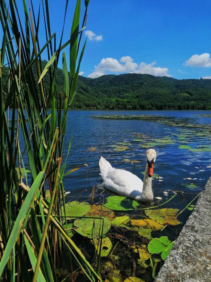 Ca' Dei Berici - Residence Ad Arcugnano Grancare Exteriér fotografie
