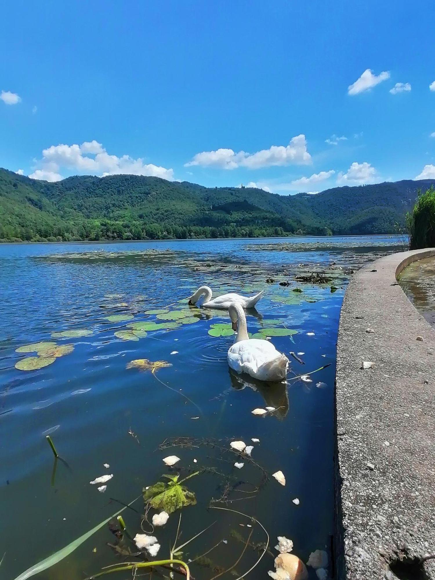 Ca' Dei Berici - Residence Ad Arcugnano Grancare Pokoj fotografie